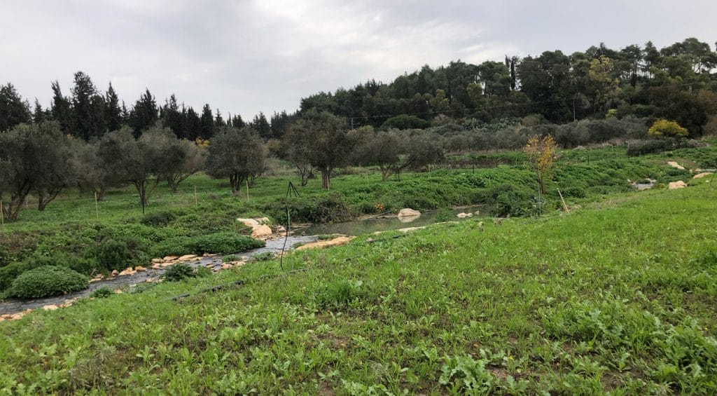 נחל ציפורי בין המעיינות לכביש 79