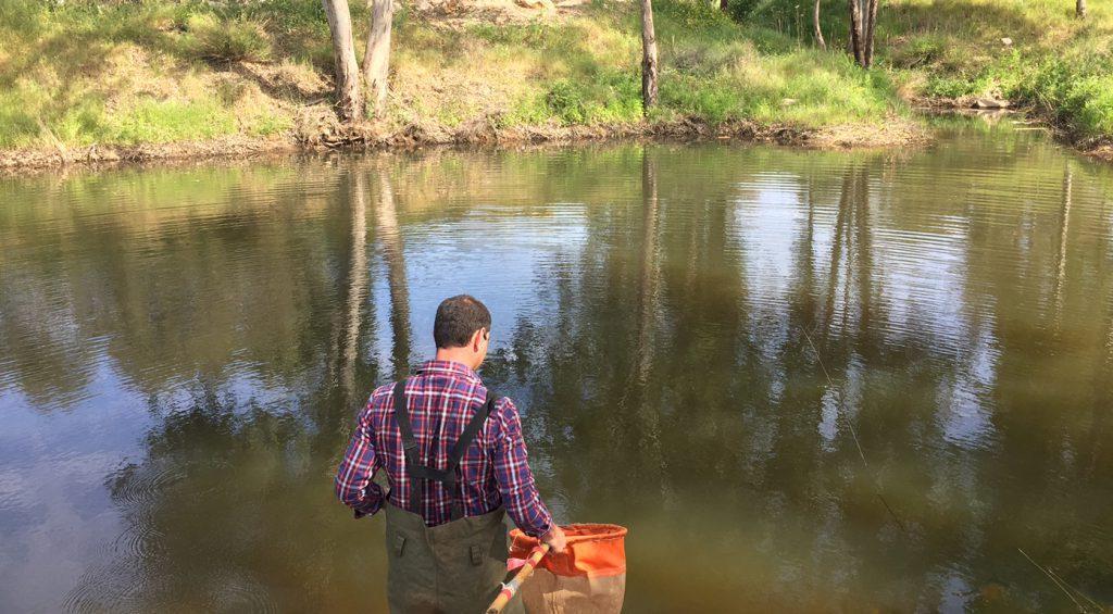 בריכות חורף במישור החוף