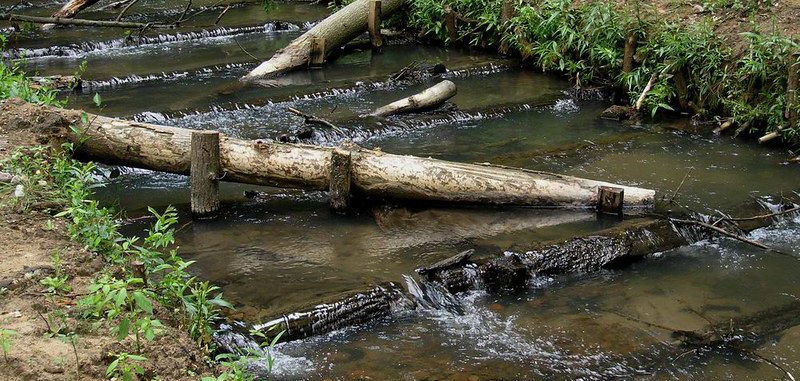 משחררים חסמים הידרוביולוגיים