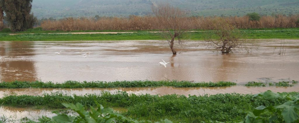 תכנון בעידן של שיטפונות: תיקון 7 לתמ״א 1 ומה הוא משנה בשטח